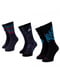 Шкарпетки 3- сині | 6638680 | фото 3
