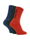 Шкарпетки 3- різнокольорові | 6638697 | фото 2