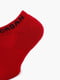 Шкарпетки 3- // — 5546-011 шт. | 6638797 | фото 6