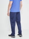 Спортивні штани Темно-синій | 6638993 | фото 2