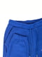 Спортивні штани сині | 6641349 | фото 3