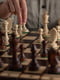 Набор шахматы шашки 2в1 деревянные комплект подарочные из натурального дерева на подарок 50 на 50 | 6645209 | фото 5
