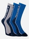 Шкарпетки синій, сірий | 6647234