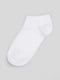 Шкарпетки білі | 6652310 | фото 2
