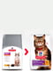 Сухой корм для котов с чувствительным пищеварением Hills Science Plan Adult Feline Sensitive Stomach & Skin с курицей 7 кг | 6654104 | фото 4
