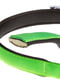 Нашийник для собак Ferplast Daytona C20/43 нейлоновий зелений 35-43 см M | 6654328 | фото 2