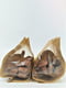 Печиво для собак EcoFood Dog кісточки шоколадні, L 130 г | 6654389 | фото 2