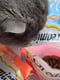 Лакомство для котов Dreamies Cat подушечки со вкусом курицы 15 г | 6654421 | фото 2
