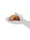 Норка Trixie Кокосовый орех, натуральный, диаметр 8, 10, 12 см х 3 шт | 6654625 | фото 4