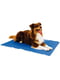 Охлаждающий коврик для собак PET COOL mat 40х50 см M | 6654844 | фото 2