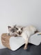 Когтеточка лежак для котов Say Meow Cloud 61*21*24 см | 6654997 | фото 3