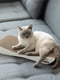 Когтеточка лежак для котов Say Meow Dream 57*7*24 см | 6654998 | фото 4