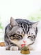 Игрушка для котов Лизун с кошачьей мятой | 6655097 | фото 3