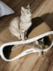 Кігтеточка лежак для котів Say Meow Grace XL 67*27*35 см | 6655098 | фото 3