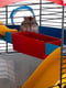 Клетка для грызунов Ferplast Circus Fun с наклейками 49,5 x 34 x  42,5 см | 6655105 | фото 3