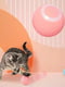 Смарт іграшка PetGravity обертається м`ячик для котів собак бірюзовий | 6655244 | фото 4