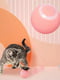 Смарт іграшка PetGravity обертається м`ячик для котів собак рожевий | 6655245 | фото 4