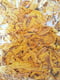 Пелюстки соняшника для гризунів EcoFood 25 гр | 6655322 | фото 2