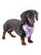 Шлейка для собак Ferplast NIKITA FASHION камуфляж фіолетовий P XXS | 6655332 | фото 2