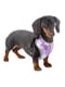 Шлейка для собак Ferplast NIKITA FASHION камуфляж фіолетовий P XXS | 6655332 | фото 3