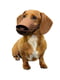 Намордник Artero Dog Muzzle, размер S, цвет коричневый | 6655524 | фото 6