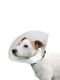 Ветеринарный воротник для собак Ferplast GRO 6005 10 см | 6655655 | фото 2