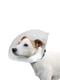 Ветеринарний комір Ferplast GRO 6006 для собак 12,5 см | 6655656 | фото 2