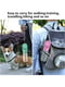 Прогулянкова портативна напувалка Dog Water Bottle для собак 350 мл м`ятна | 6655672 | фото 7