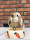 Миска Nobby 73631 керамічна бежево-жовтогаряча з морквою "Carrot" 500 мл | 6655767 | фото 3