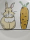 Миска Nobby 73753 керамическая белая "Rabbit" 300 мл  11*4,5 см | 6655769 | фото 2