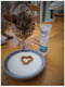 Паста Quality Concept for Life Sensitive для чувствительного пищеварения у кошек 75 г | 6655861 | фото 3