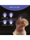 Спрей Artero Big Bang для придания объема волосам для собак и кошек 300 мл H725 | 6655984 | фото 3
