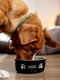 Миска для собак Nobby 68766 DOG керамика черно-бежевая 13,5  см 240 мл | 6656047 | фото 3