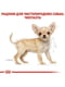 Сухий повнораціонний корм Royal Canin Chihuahua Puppy від 2 до 8 місяців 0.5 кг | 6656282 | фото 8