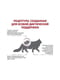 Сухий корм для дорослих котів з хронічною нирковою недостатністю Royal Canin Renal 4 кг | 6656555 | фото 3