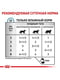 Влажный корм Royal Canin Vd Canine Wet Sensitivity Control Chicken Dog Cans для собак при пищевой аллергии 420 г | 6656960 | фото 3