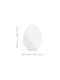 Мастурбатор-яйце Egg Shiny Pride Edition | 6674528 | фото 2