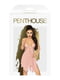 Penthouse - Sweet Beast Rose  | 6675833 | фото 3