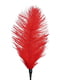 Лоскоталка зі страусиним пером Art of Sex - Puff Peak, колір Червоний | 6677044 | фото 3