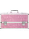 Кейс для зберігання секс-іграшок BMS Factory - Large Lokable Vibrator Case Pink | 6678394 | фото 3