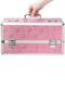 Кейс для зберігання секс-іграшок BMS Factory - Large Lokable Vibrator Case Pink | 6678394 | фото 4