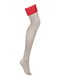 Панчохи Ingridia stockings  | 6678923 | фото 3