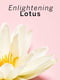 Парфумований набір для тіла Pomegranate &amp; Lotus: лосьйон, міст, крем та скраб для тіла | 6685262 | фото 5