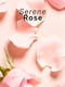 Парфюмированный набор для тела Coconut Milk & Rose: лосьон, мист, крем и скраб для тела | 6685263 | фото 6