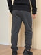 Спортивные штаны на флисе темно-серого цвета | 6686787 | фото 3