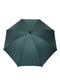 Зонт-трость зеленый | 6688727