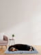 Подушка-лежак для собак та кішок Ferplast Jolly 108 х 79 см - 110, Сірий | 6609546 | фото 2