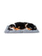 Подушка-лежак для собак та кішок Ferplast Jolly 108 х 79 см - 110, Сірий | 6609546 | фото 3