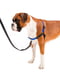 Дресирувальна нагрудна шлейка для собак з передньою системою кріплення Coach M/L - A: 26 ÷ 33 см - B: 50 ÷ 71 см 15 мм, Синій | 6611358 | фото 5