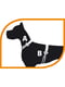 Дресирувальна нагрудна шлейка для собак з передньою системою кріплення Coach M/L - A: 26 ÷ 33 см - B: 50 ÷ 71 см 15 мм, Синій | 6611358 | фото 6